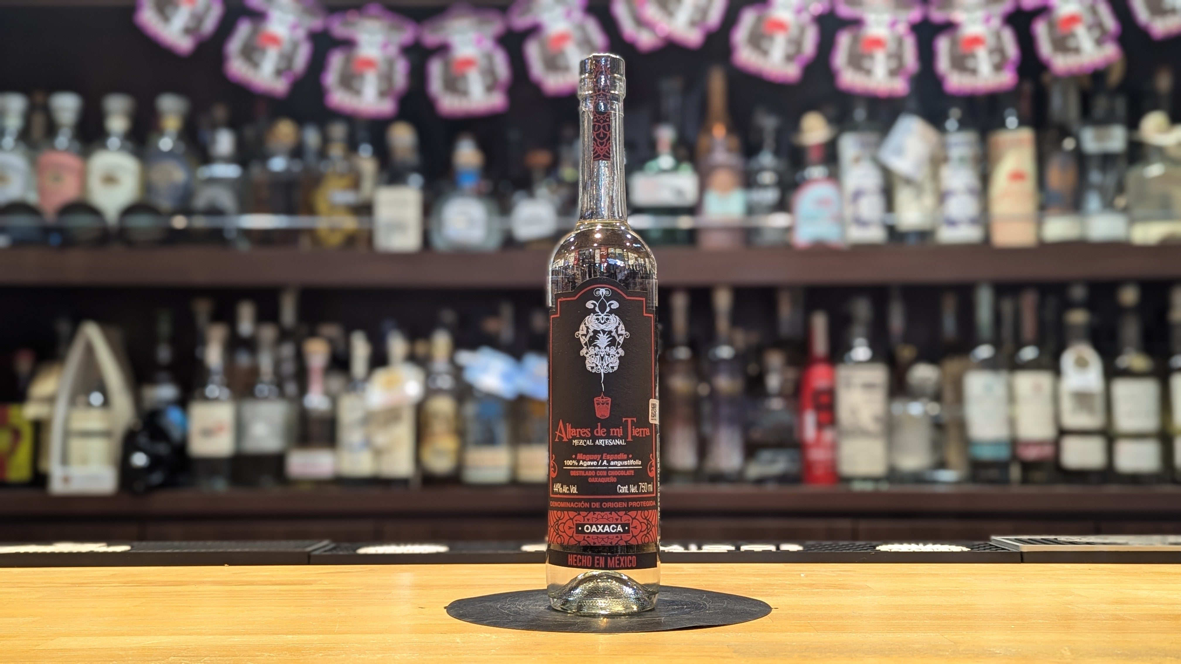 イタリア語 Revised Tundra dual land BGS9.5鑑定品 イタリア語 Revised Tundra dual land BGS9.5鑑定品